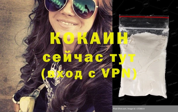 крисы Надым