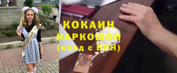 крисы Надым