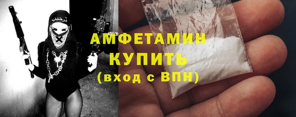 крисы Надым