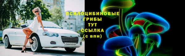 крисы Надым