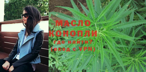крисы Надым