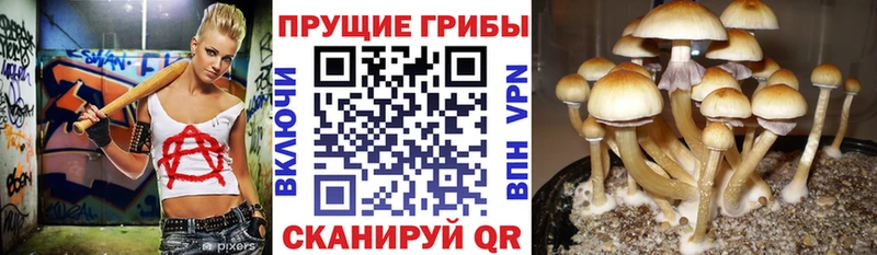 Купить  Абакан  Галлюциногенные грибы мухоморы 