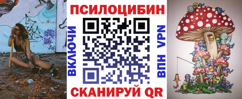 Псилоцибиновые грибы Psilocybe Абакан